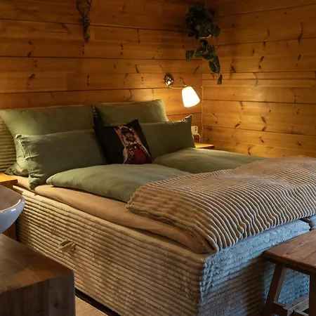 Sohana I Design I And Guest I Sauna I Ac ゲストハウス